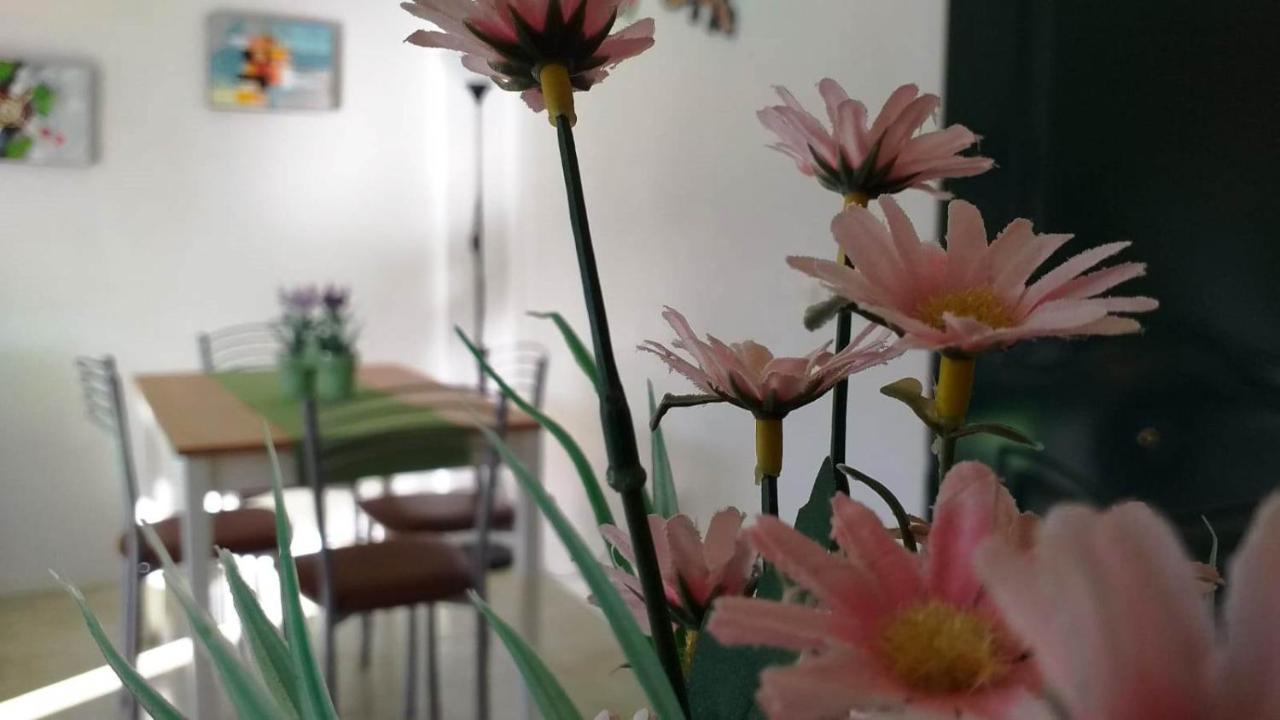 Parque Don Jose, Casa Antonella Costa del Silencio Eksteriør billede