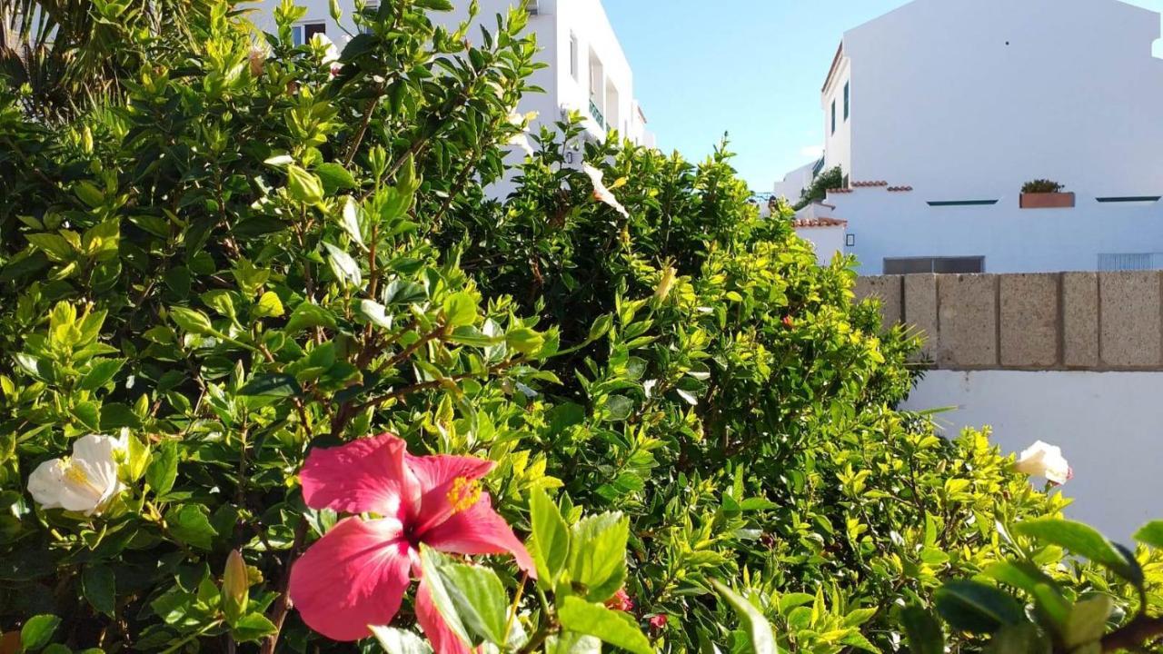 Parque Don Jose, Casa Antonella Costa del Silencio Eksteriør billede